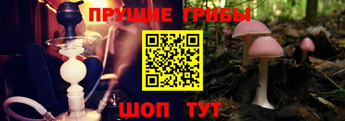 Галлюциногенные грибы GOLDEN TEACHER Удомля